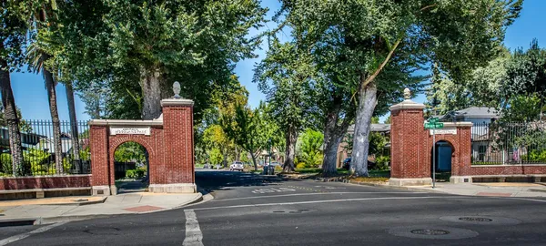 front view of a house with a tree