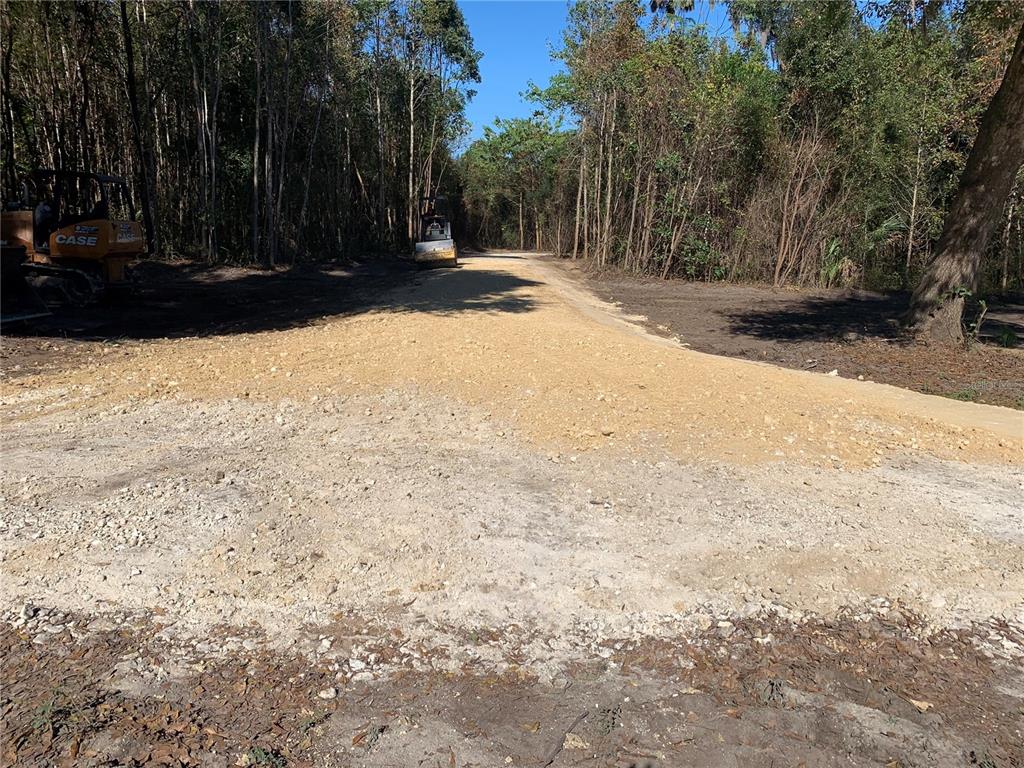 0 Northwest 185th Street Citra, FL 32113 - Photo 2 of 9 a view of road with trees