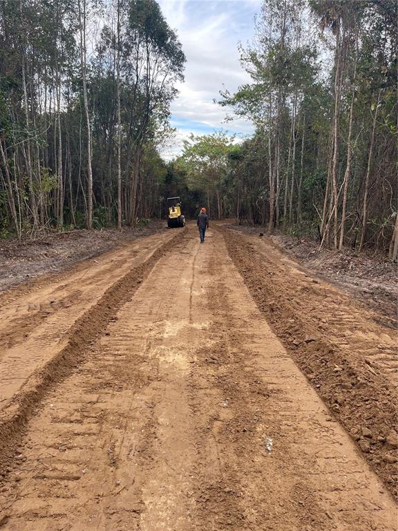 0 Northwest 185th Street Citra, FL 32113 - Photo 5 of 9 a view of a backyard with large trees