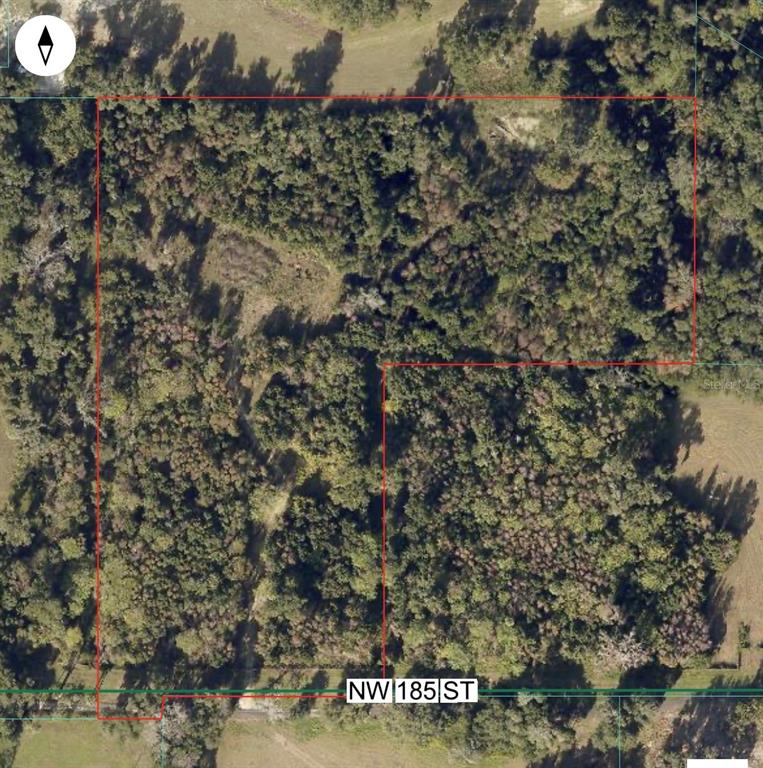 0 Northwest 185th Street Citra, FL 32113 - Photo 9 of 9 a view of a tree in a yard