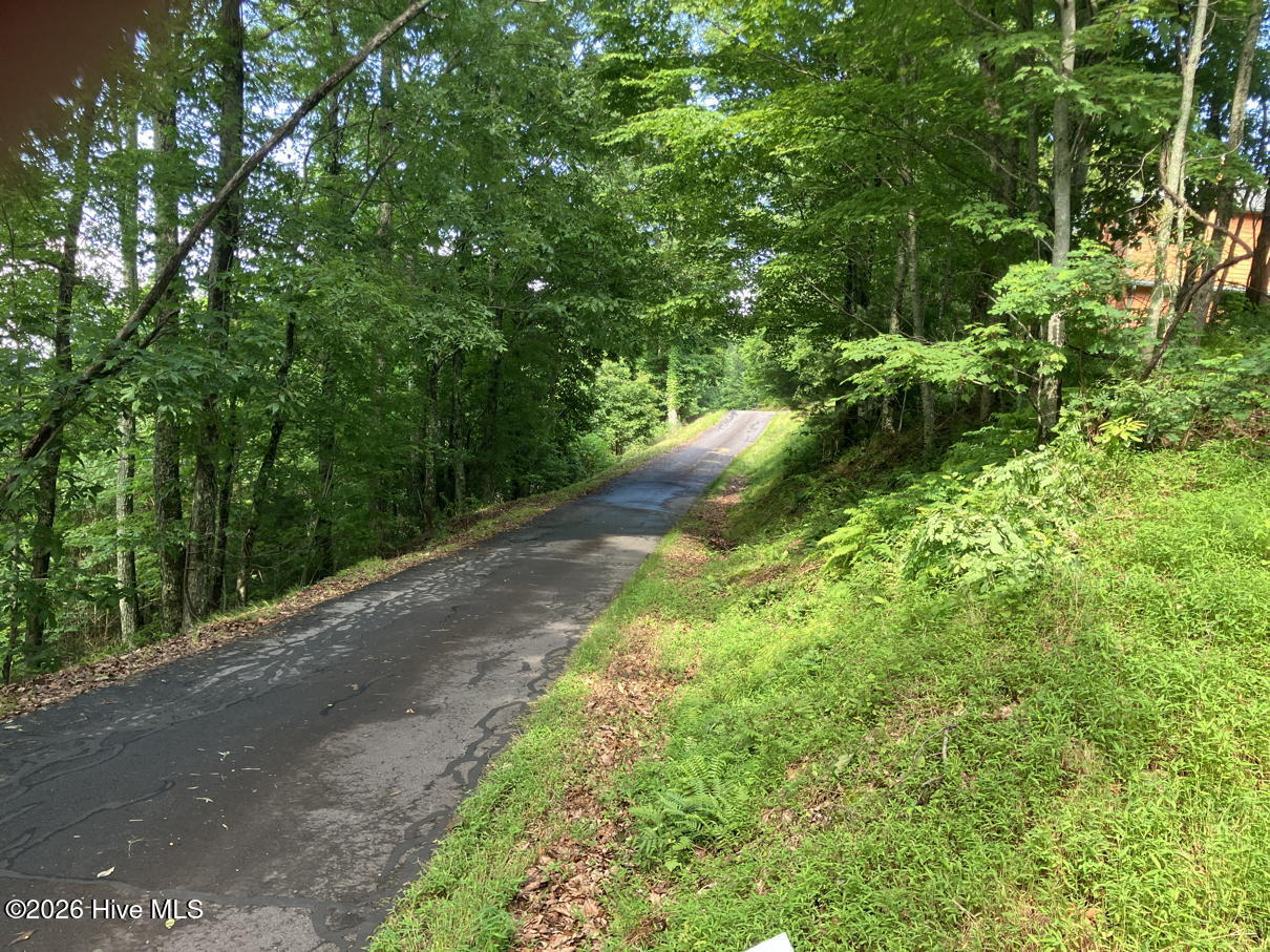 Lot 51 Buck Ridge Drive Murphy, NC 28906 - Photo 3 of 10