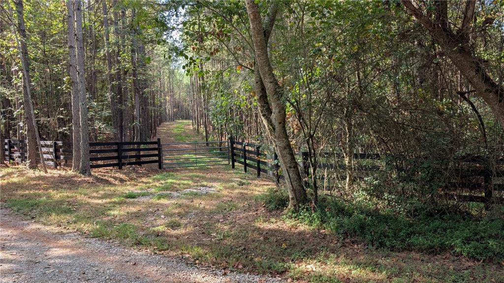 1158 Ballard Road Ball Ground, GA 30107 - Photo 3 of 6 Gallery Image 3