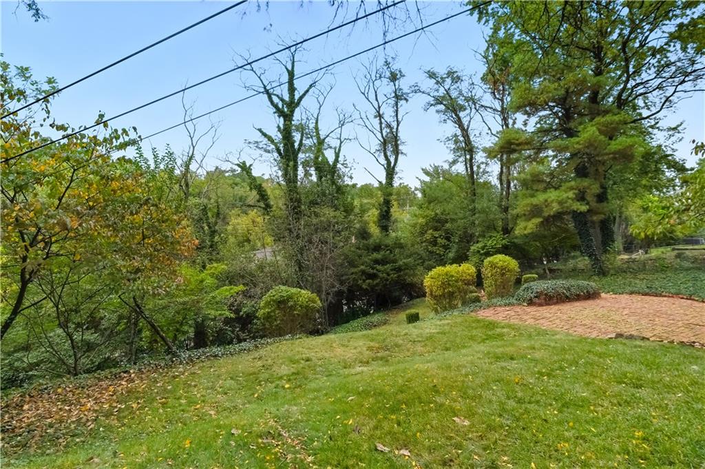 933 Old Hickory Road Pittsburgh, PA 15243 - Photo 49 of 50 Rear yard