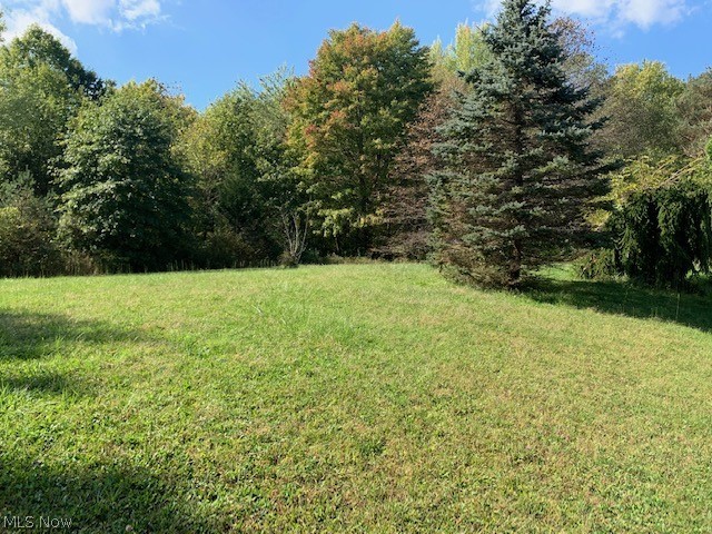 863 Carson Salt Springs Road Mineral Ridge, OH 44440 - Photo 14 of 14