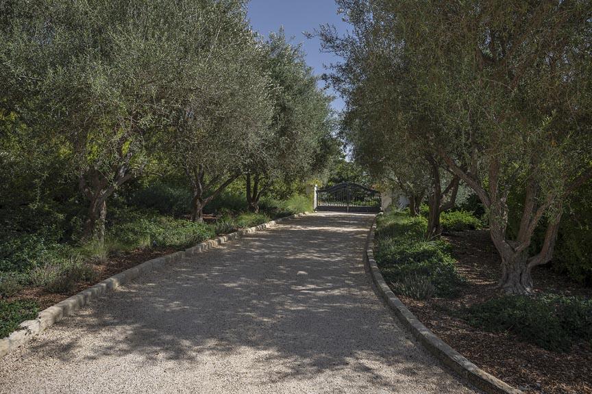 4110 Creciente Drive Santa Barbara, CA 93110 - Photo 5 of 33 Olive tree-lined driveway