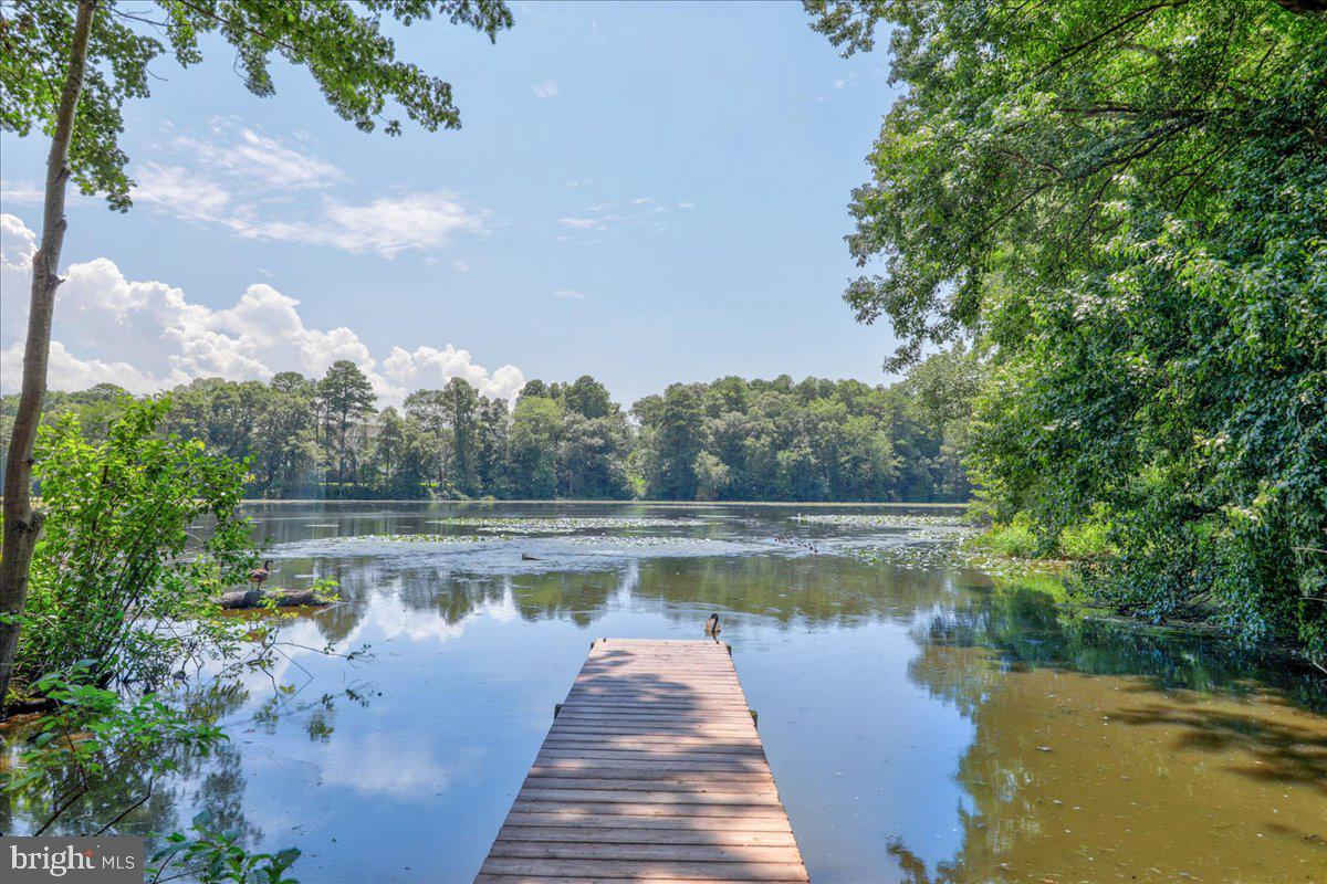 1104 Granbys Run Salisbury, MD 21804 - Photo 23 of 87 beautiful views - every day!