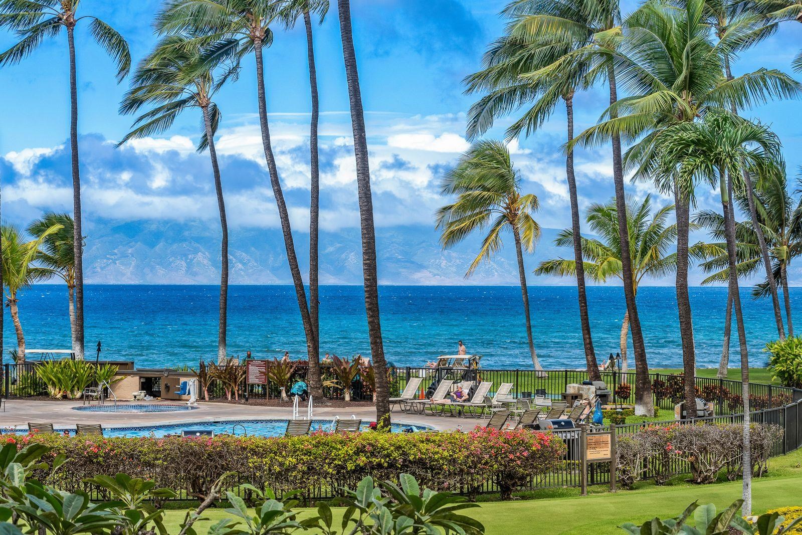 3543 Lower Honoapiilani Road, Unit J401 Lahaina, HI 96761 - Photo 19 of 25 a view of a palm tree