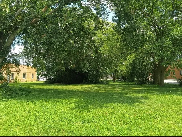 a view of a big yard with a trees