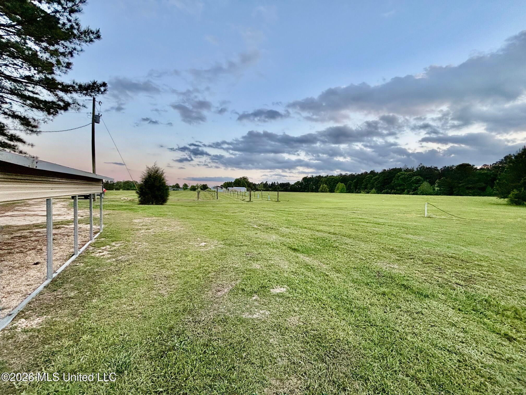 181 Firetower Road Jayess, MS 39641 - Photo 4 of 27 IMG_3603