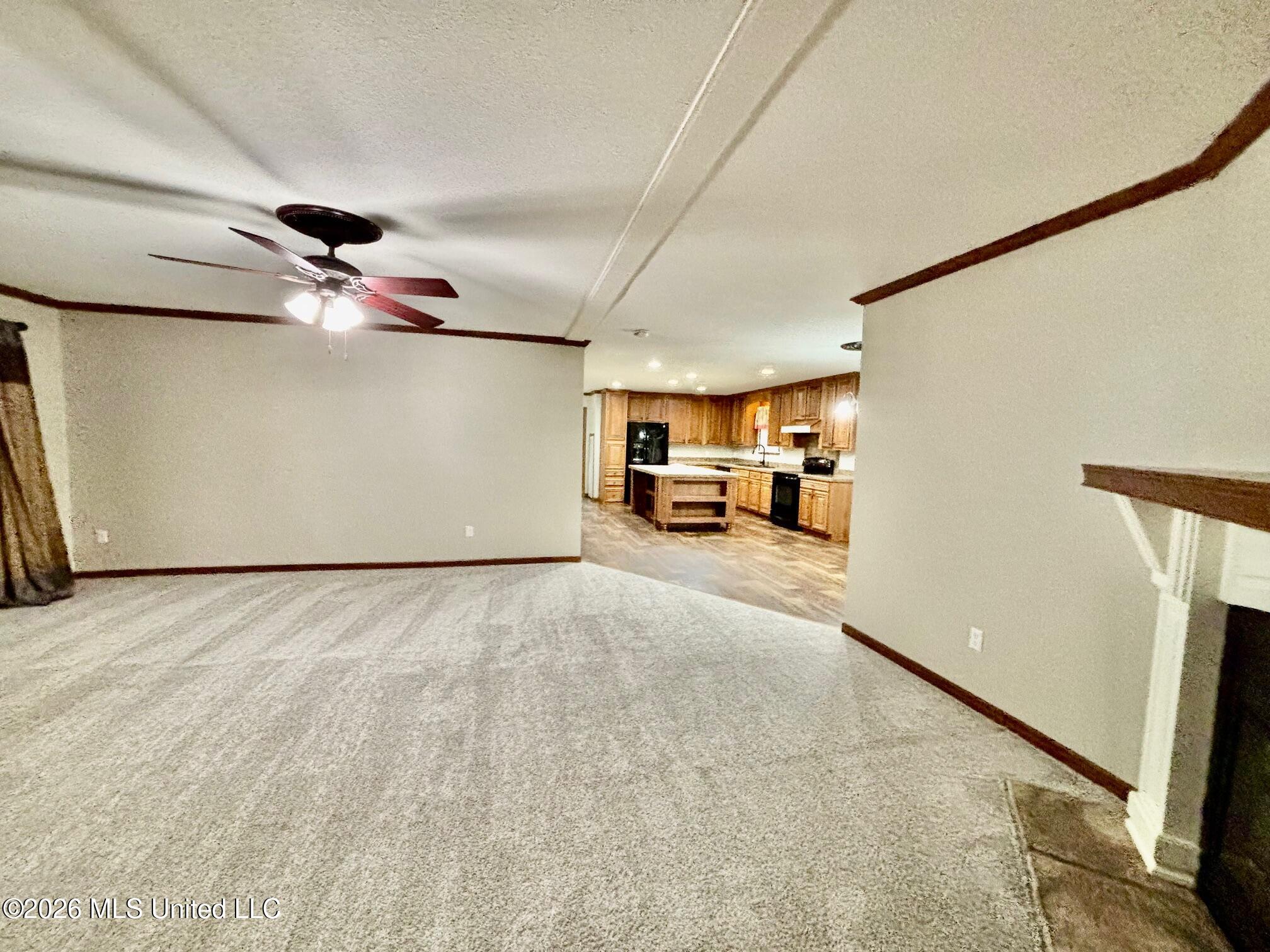 181 Firetower Road Jayess, MS 39641 - Photo 7 of 27 IMG_3593