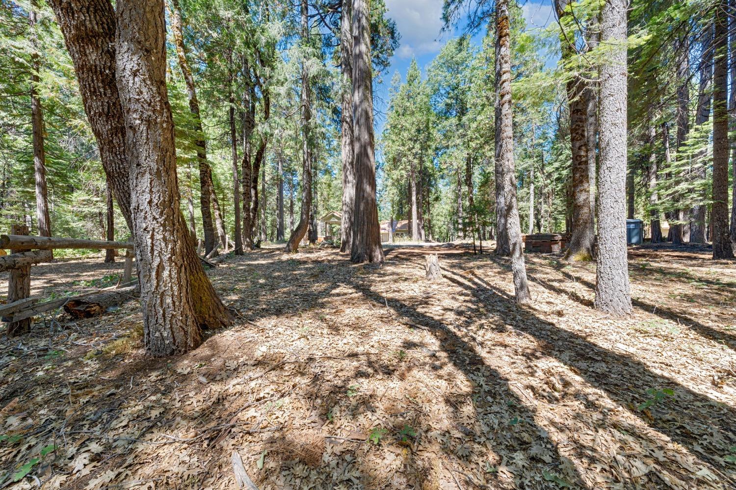 740 Hideaway Loop Alta, CA 95701 - Photo 42 of 74 a backyard of a house with lots of green space