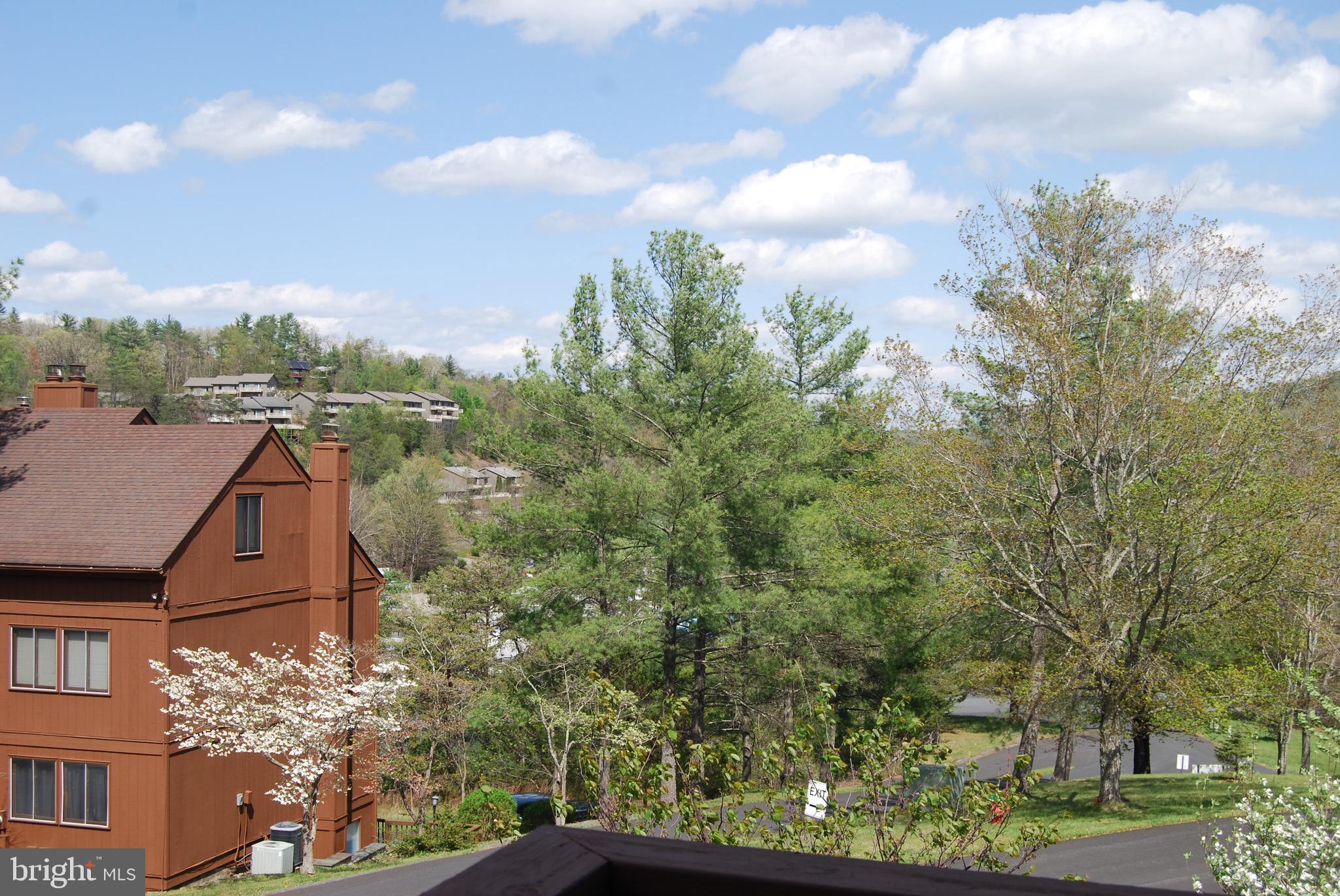 141 The Hill Road, Unit 25A Basye, VA 22810 - Photo 3 of 18 a aerial view of a house