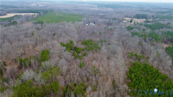 a view of a dry yard with large trees
