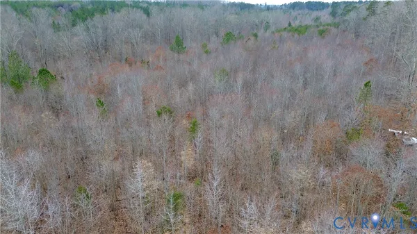 a view of a dry yard