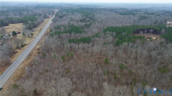 a view of a forest with a street