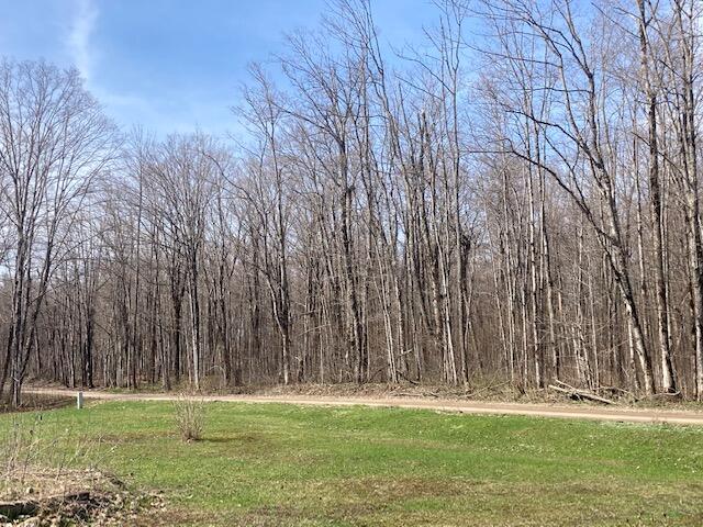 3048 North Webb Road Hessel, MI 49745 - Photo 32 of 34 Gallery Image 32