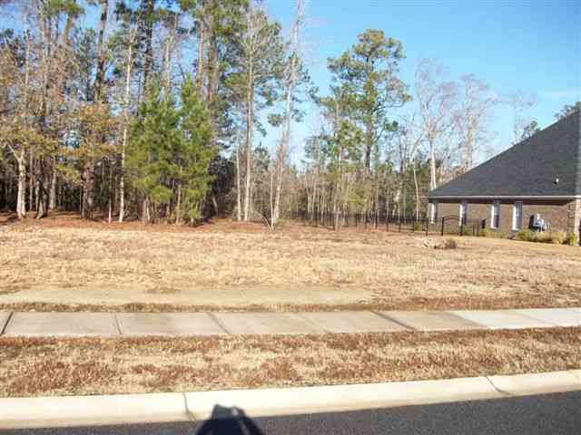 Lot 80 Chamberlin Road Myrtle Beach, SC 29588 - Photo 1 of 15 Gallery Image 1