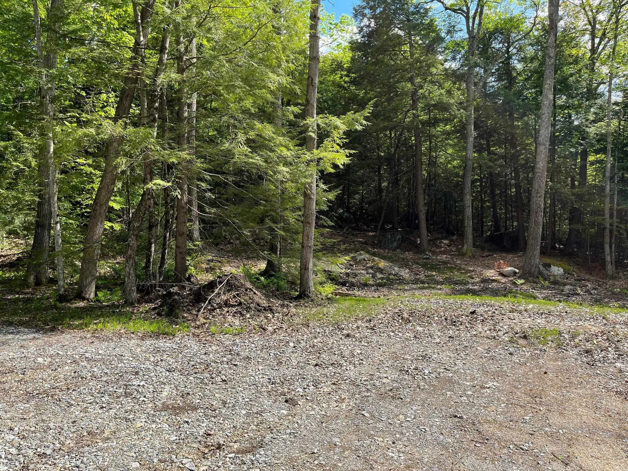 0 New Boston Road Franklin, NH 03235 - Photo 1 of 4 Gallery Image 1