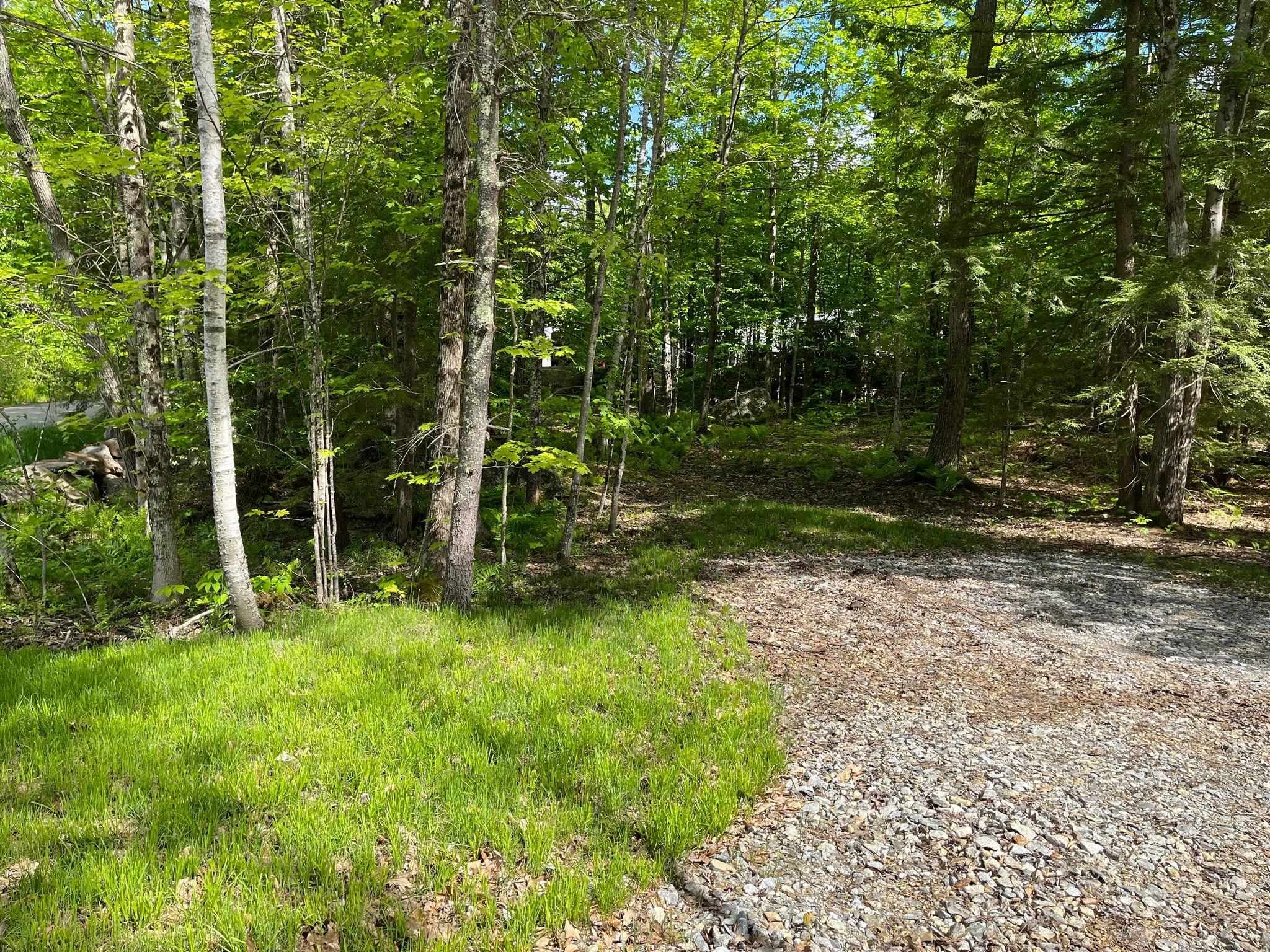 0 New Boston Road Franklin, NH 03235 - Photo 3 of 4 Gallery Image 3