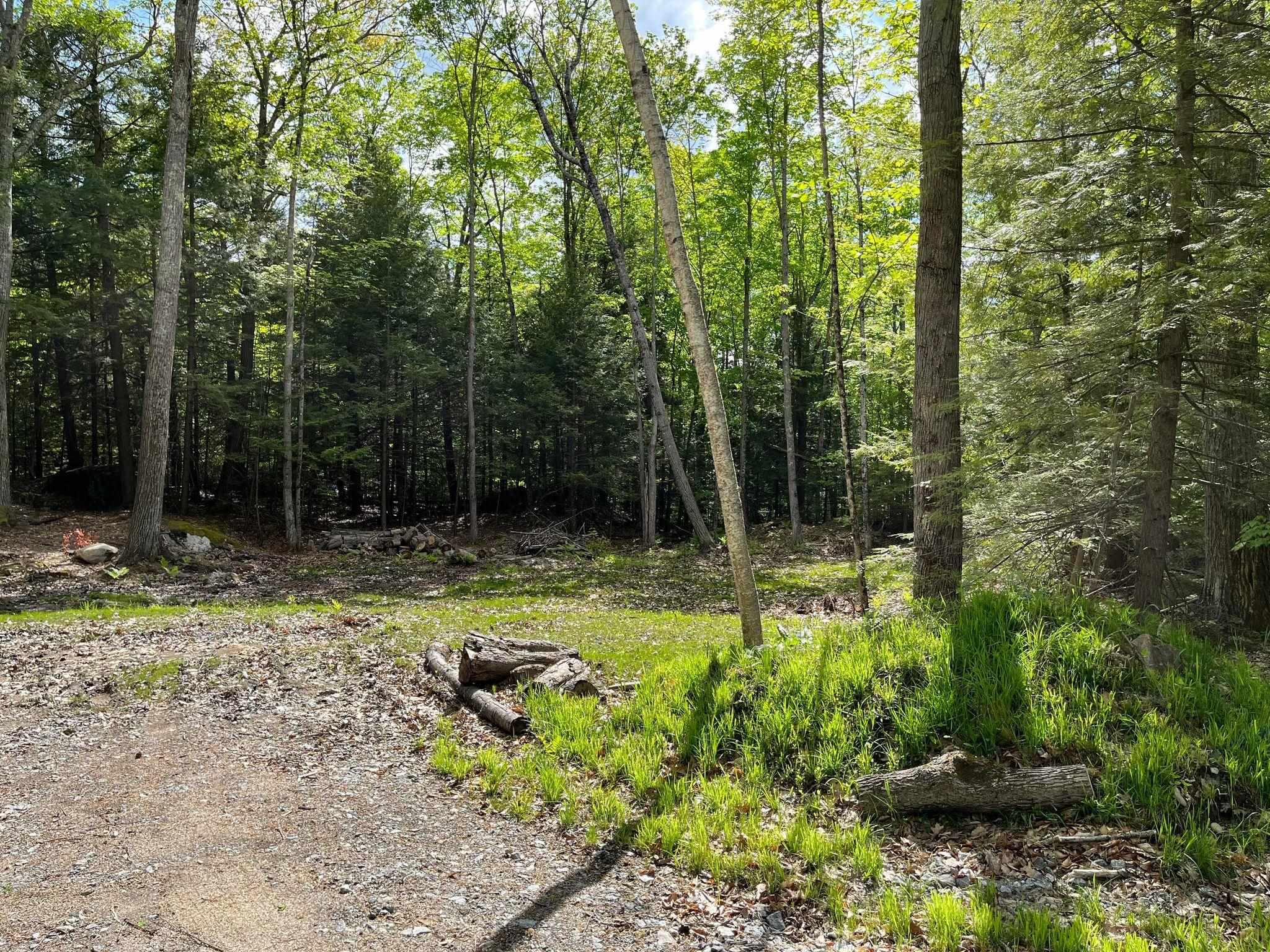 0 New Boston Road Franklin, NH 03235 - Photo 4 of 4 Gallery Image 4