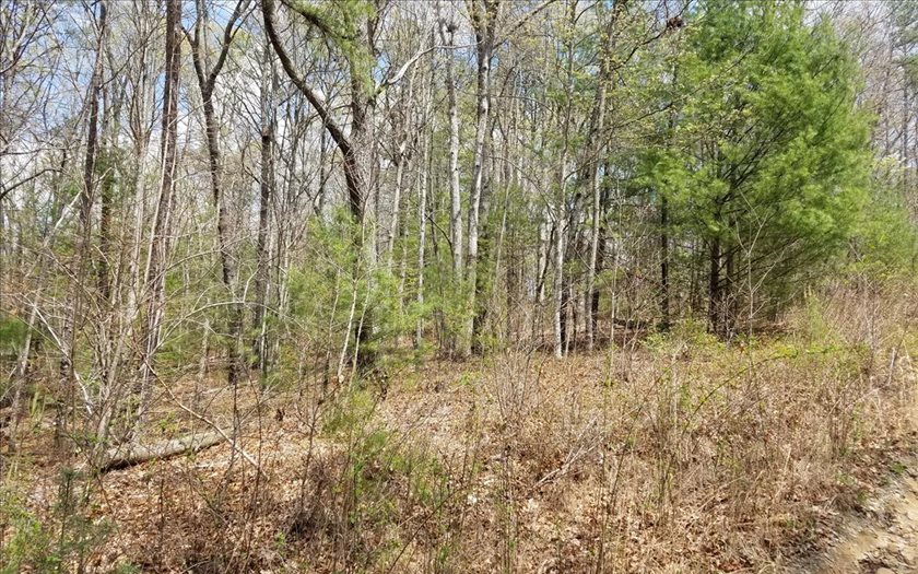 Lt113 Laurel Trace Blue Ridge, GA 30513 - Photo 1 of 1 Main View