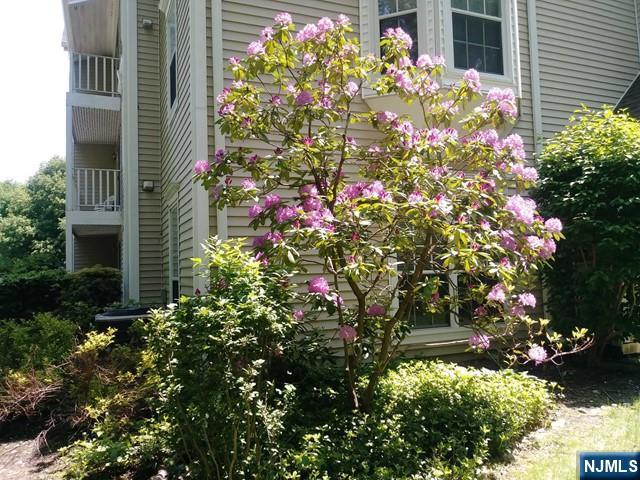 143 Raintree Lane Mahwah, NJ 07430 - Photo 15 of 19