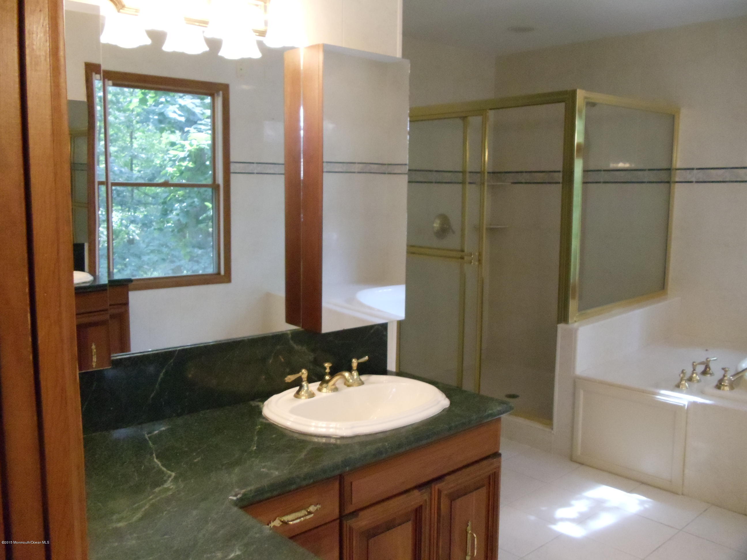 713 Green Valley Road Jackson, NJ 08527 - Photo 13 of 25 DSC08517