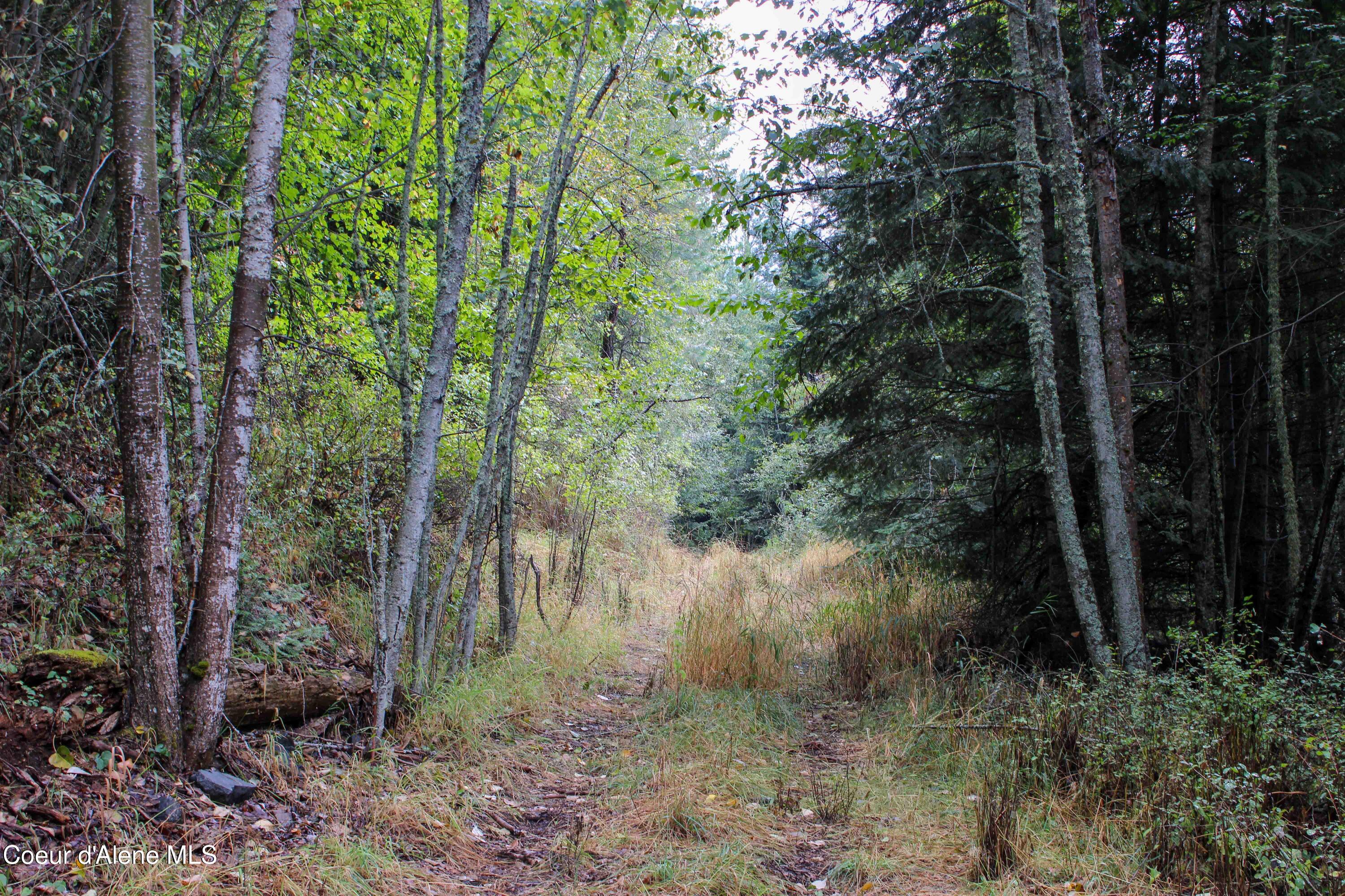 29 East Side Road Priest River, ID 83856 - Photo 23 of 50 IMG_0923