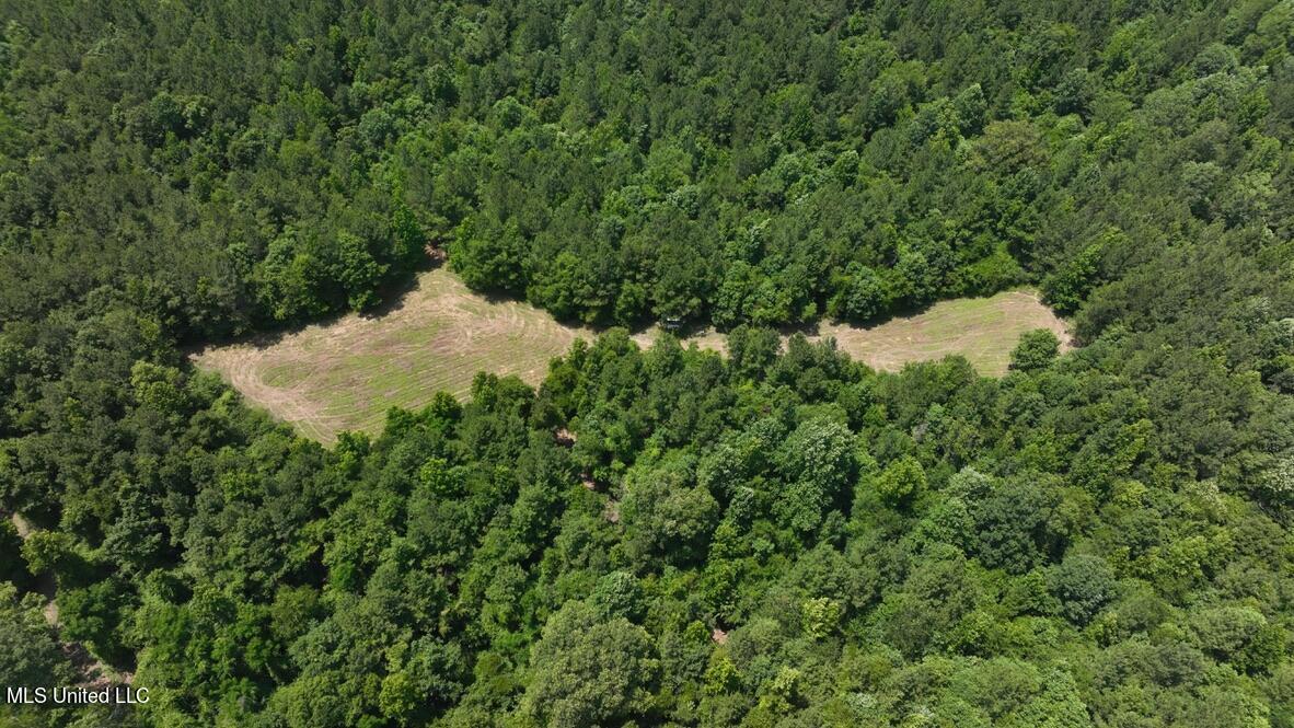 1542 Poplar Road Conehatta, MS 39057 - Photo 54 of 74 E1128C53-45EA-422D-83EF-BF1E4D5C1899_1_1