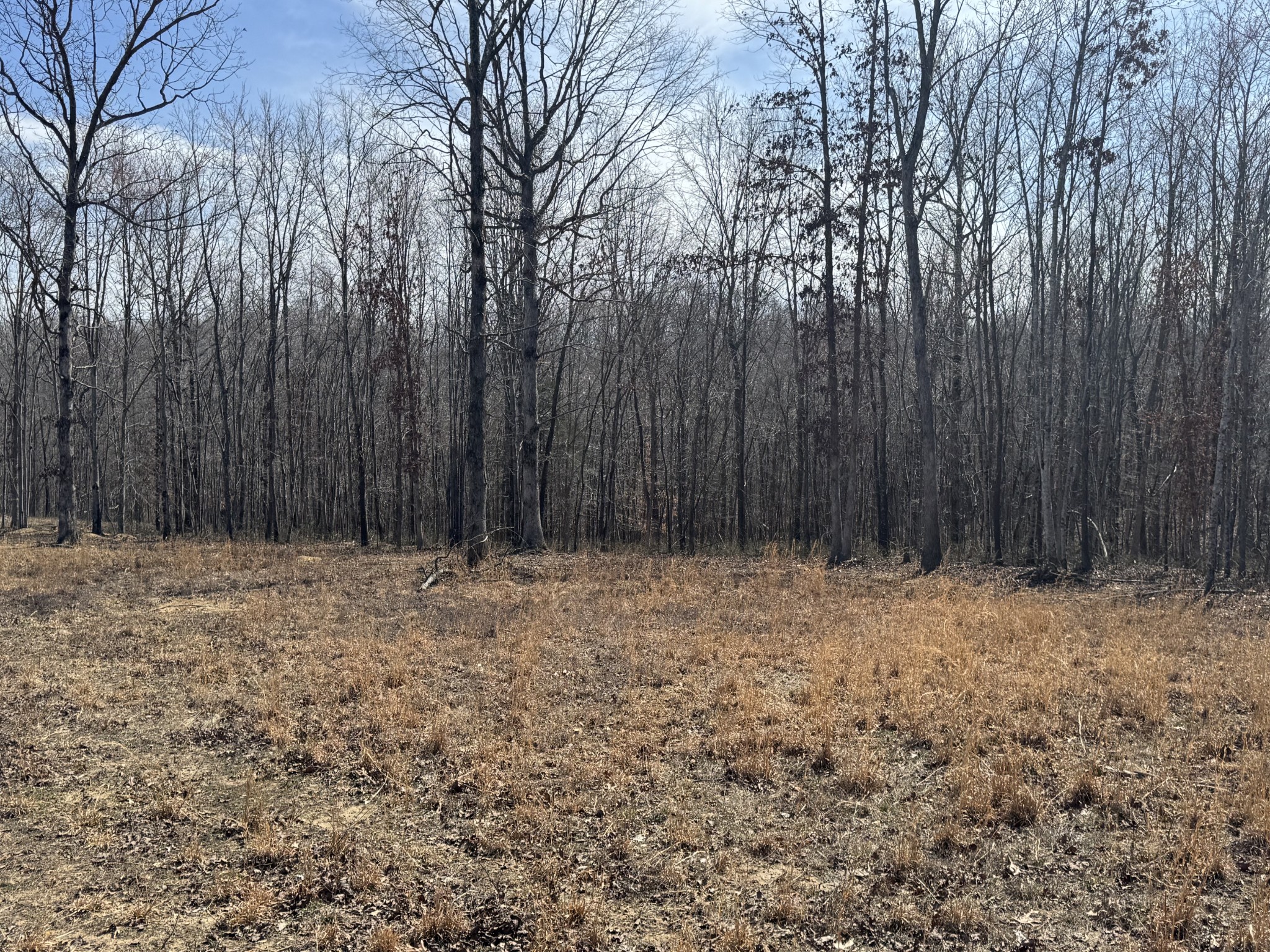 3922 Humphreys Co Line Road Dickson, TN 37055 - Photo 11 of 25 Gallery Image 11