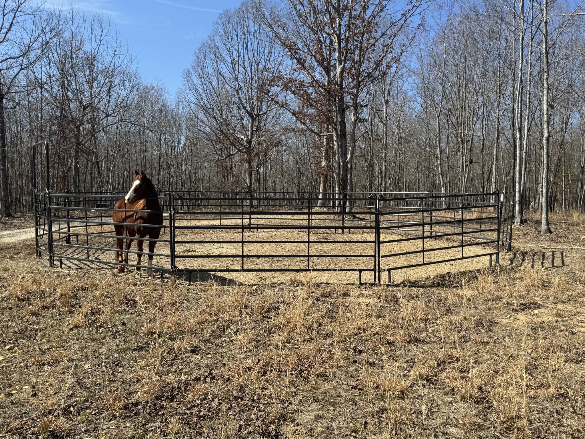 3922 Humphreys Co Line Road Dickson, TN 37055 - Photo 6 of 25 Gallery Image 6