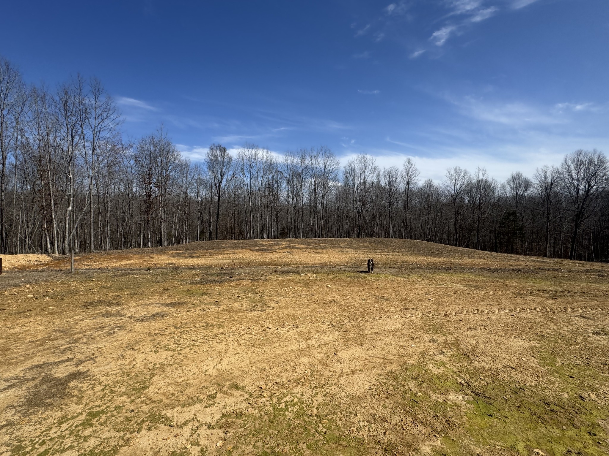 3922 Humphreys Co Line Road Dickson, TN 37055 - Photo 10 of 25 Gallery Image 10