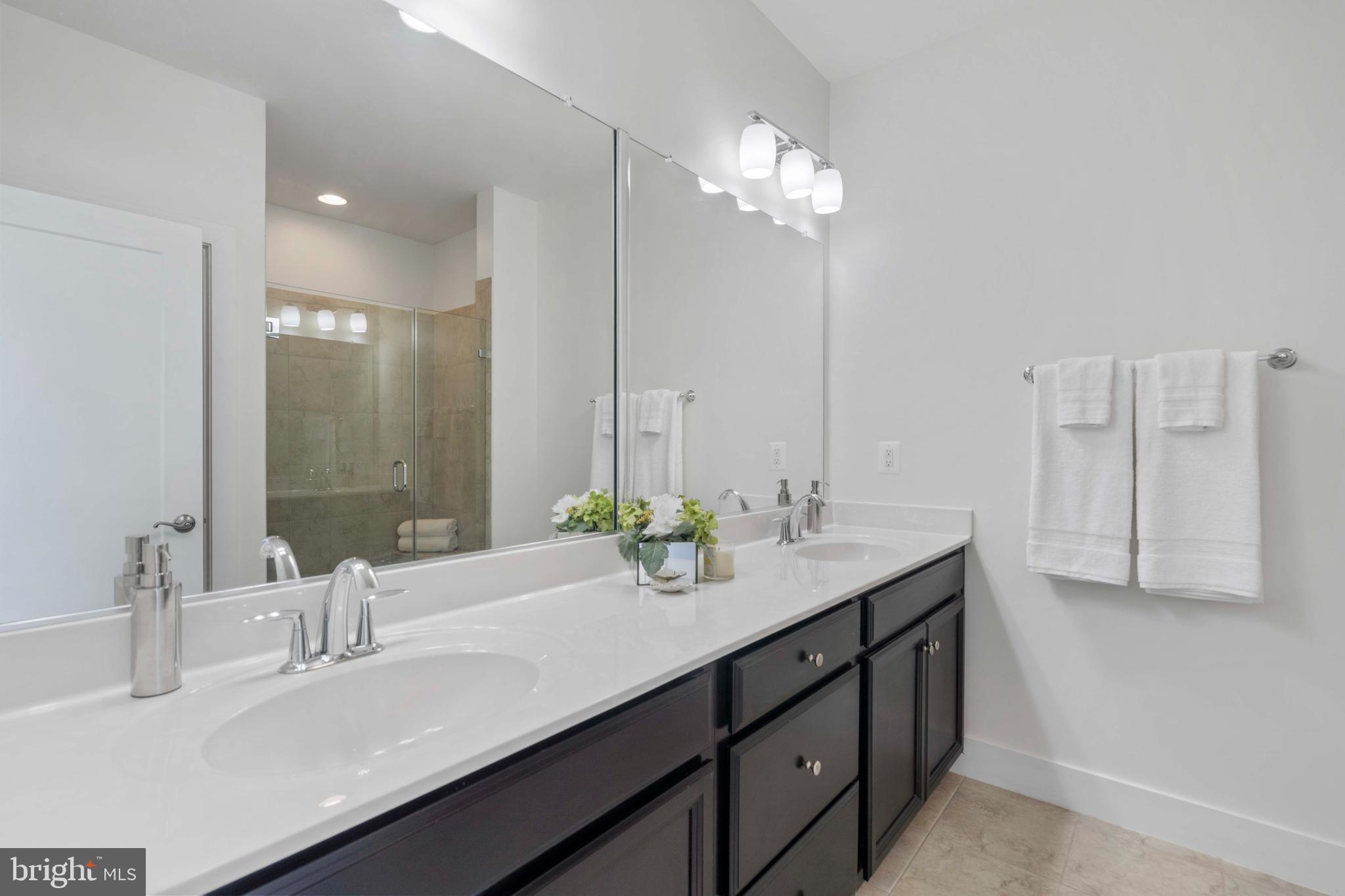 44732 Roosevelt Square Ashburn, VA 20147 - Photo 22 of 51 Primary Ensuite Bath