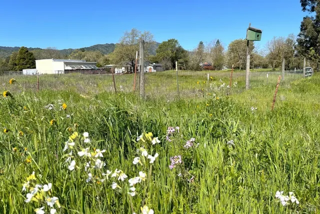 a view of a lake with houses in the back