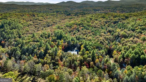 a view of a house with a tree
