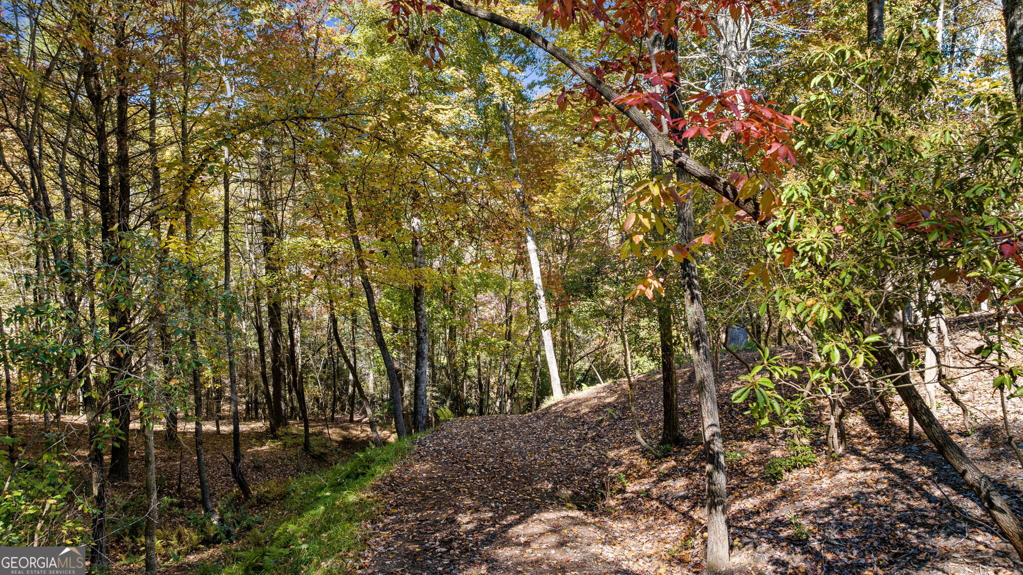 184 Spence Road Blue Ridge, GA 30513 - Photo 5 of 90