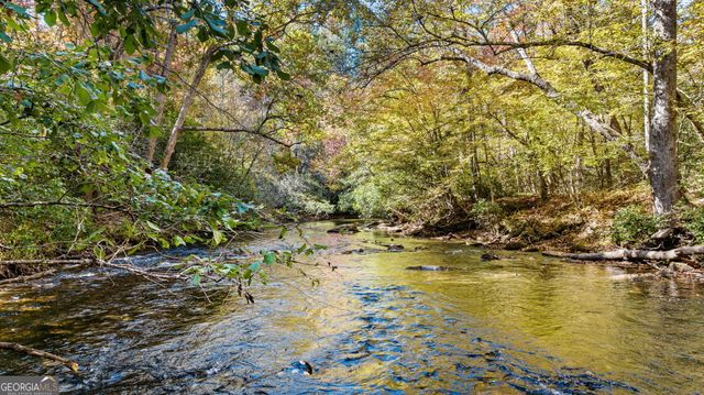 a view of a mountain in the distance in a field