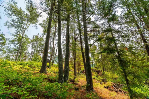 $759,900 | 92 Erickson Trail, Tofte, MN 55615