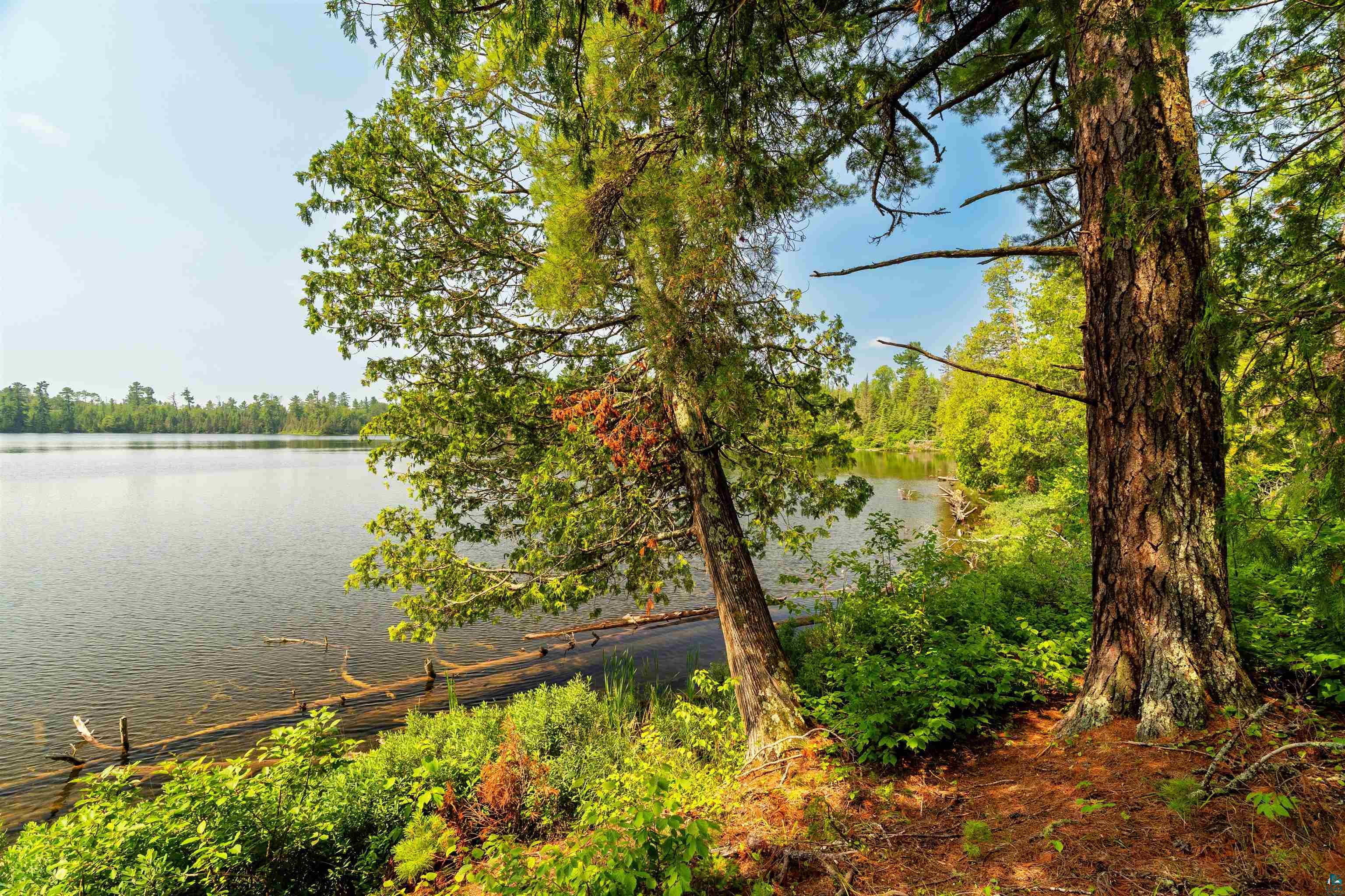 92 Erickson Trail Tofte, MN 55615 - Photo 72 of 75