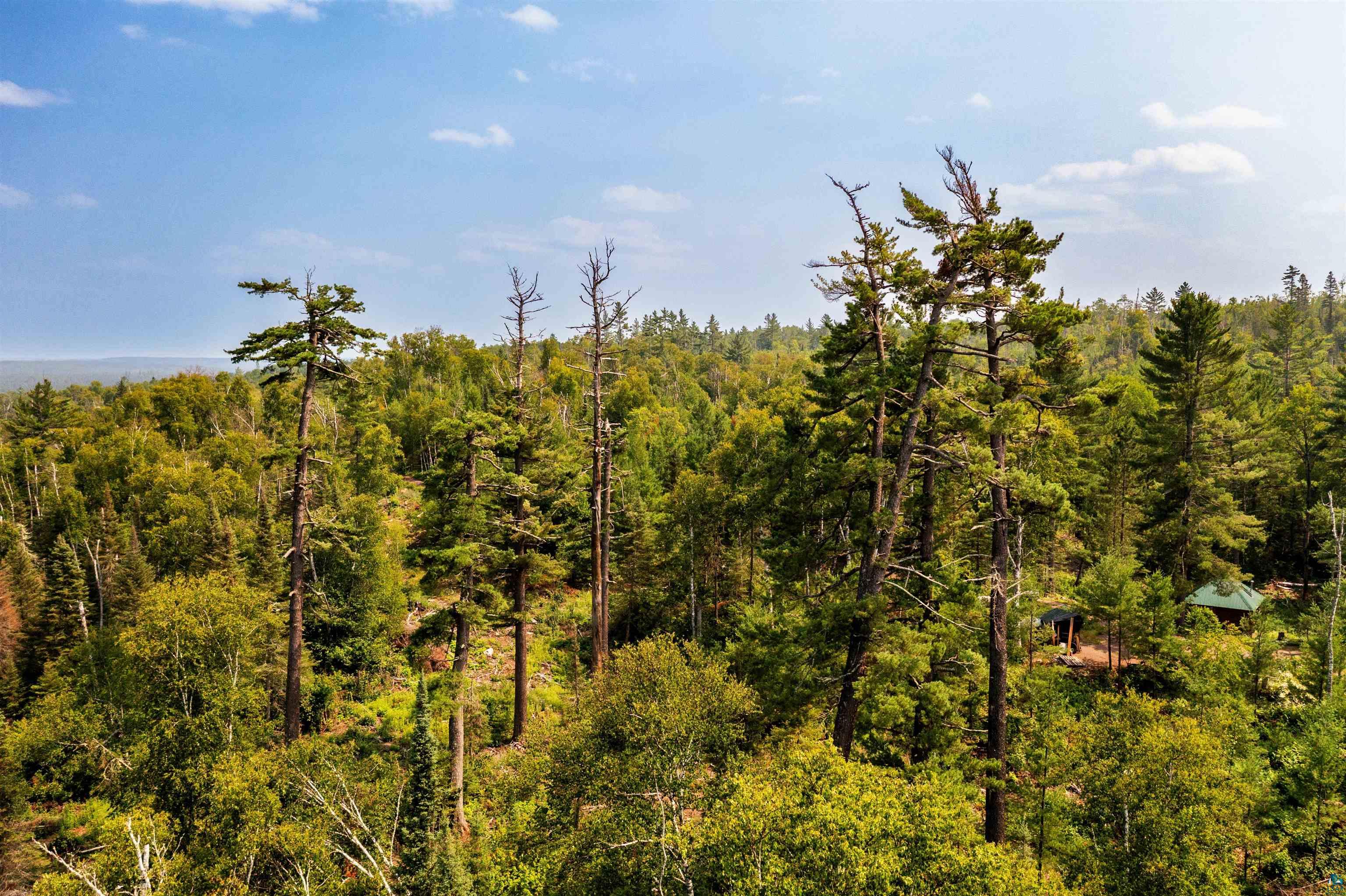 92 Erickson Trail Tofte, MN 55615 - Photo 75 of 75