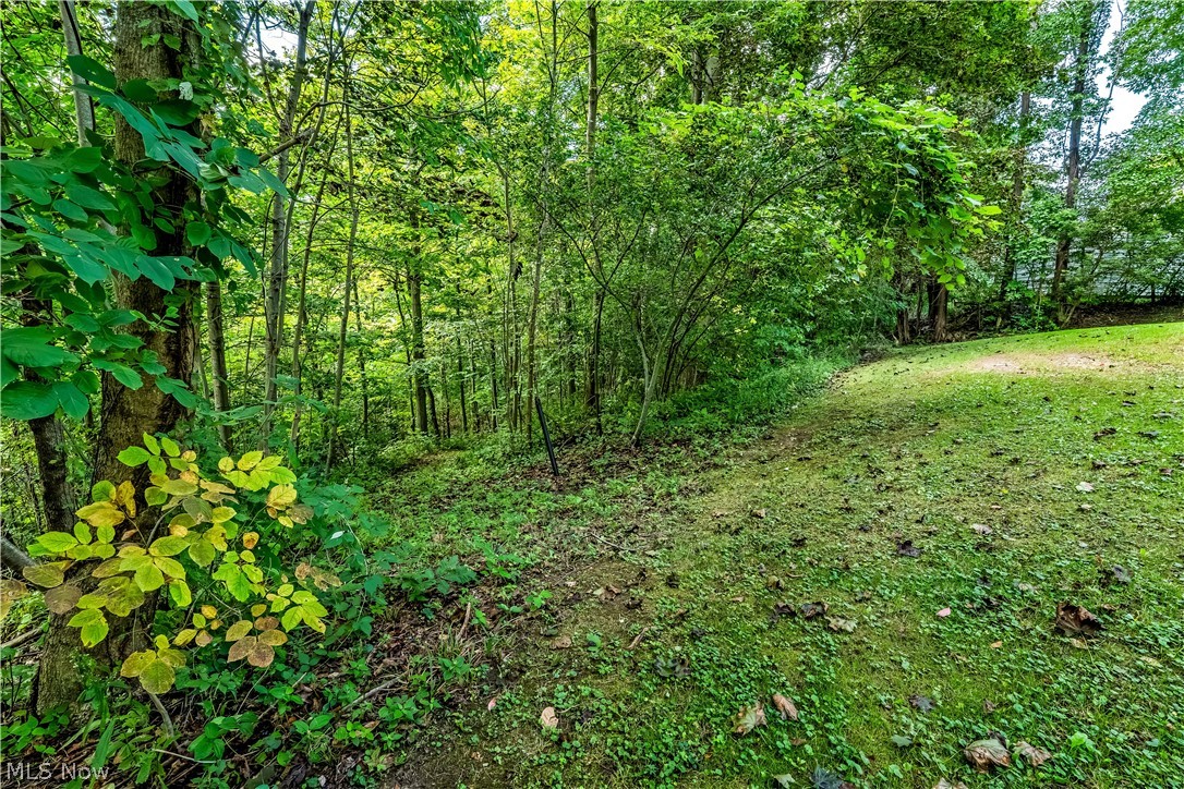 4922 South Ridge Road East Geneva, OH 44041 - Photo 40 of 46 The entrance to a private walking trail leading through several acres to the rear of the property.
