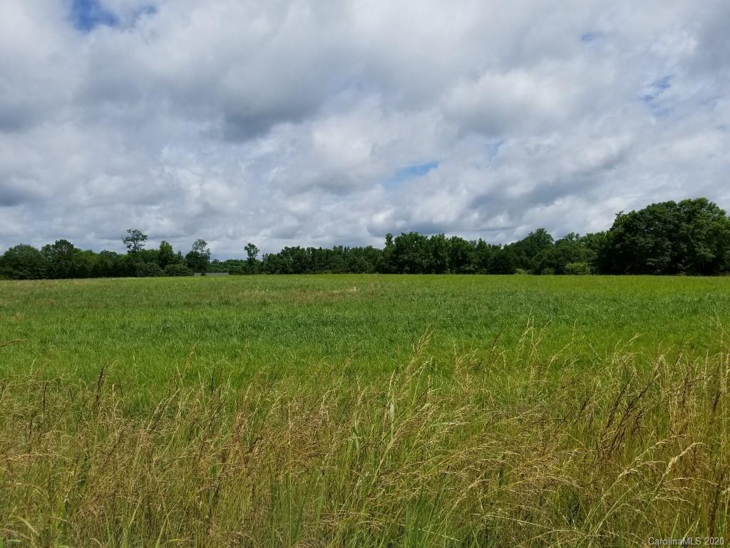 3330 New Cut Road Inman, SC 29349 - Photo 9 of 14 a view of a big yard with plants and large trees