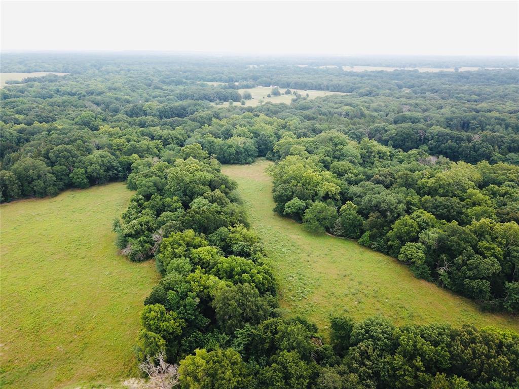 0 C R 1115 Bonham, TX 75418 - Photo 2 of 13
