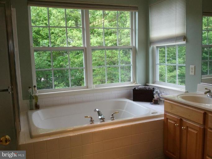 8022 Big Pool Road Laurel, MD 20724 - Photo 17 of 30 Master Bath