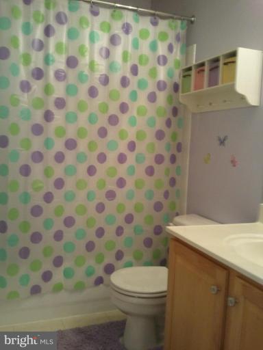 8022 Big Pool Road Laurel, MD 20724 - Photo 23 of 30 Bath #2