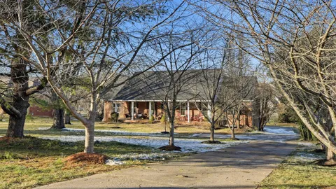 a view of a yard with tree s