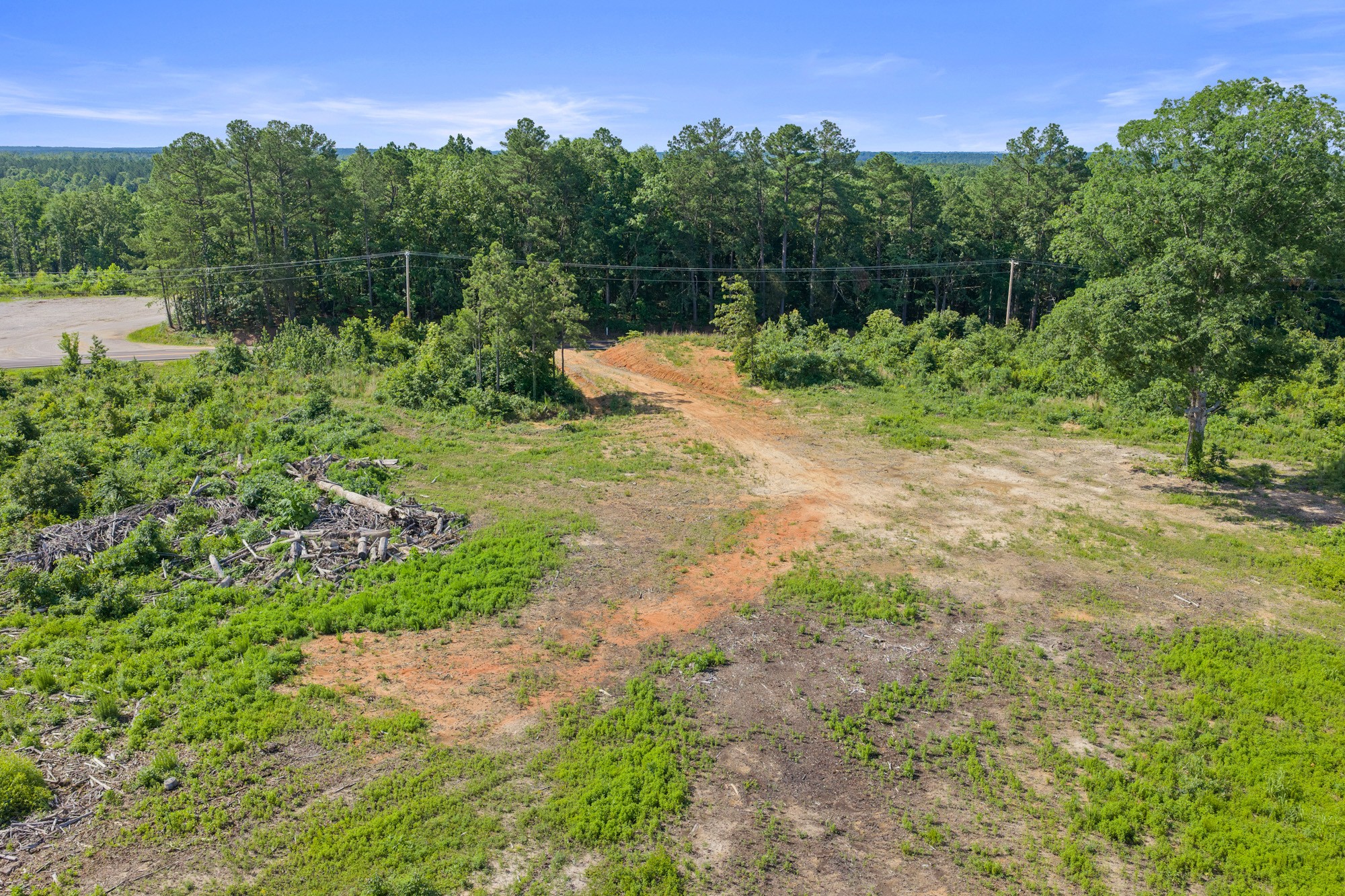 0 Coxburg Road North Holladay, TN 38341 - Photo 8 of 15