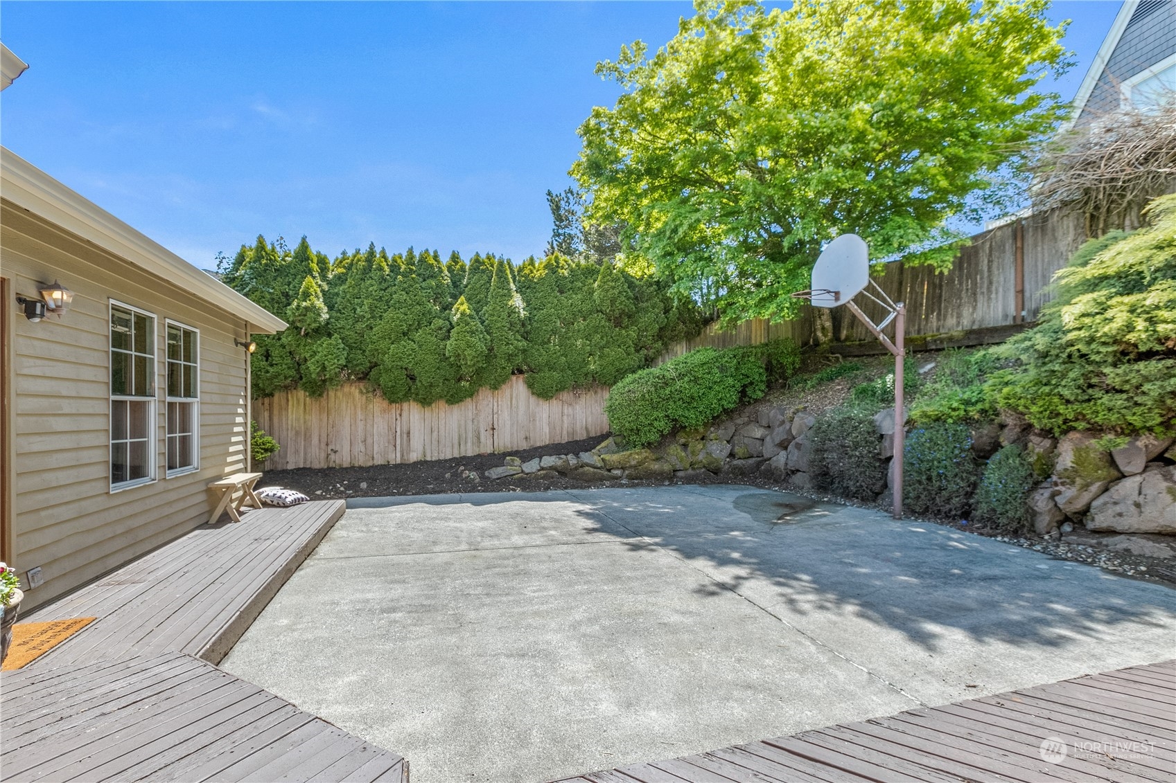 24202 26th Avenue Southeast Bothell, WA 98021 - Photo 27 of 37 a view of a backyard with plants and a large tree