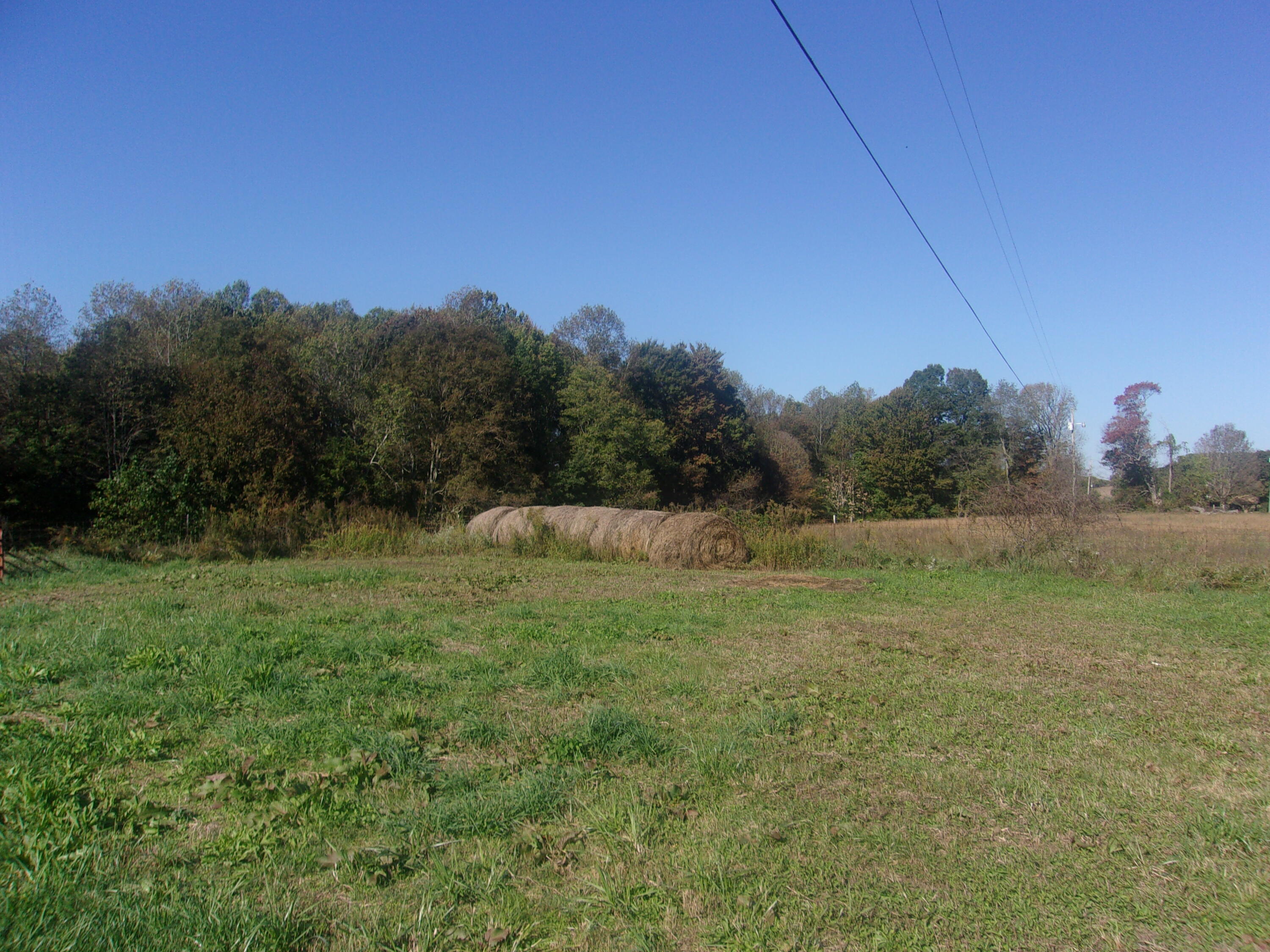 1195 Vaught Ridge Road Science Hill, KY 42553 - Photo 9 of 12 100_0543