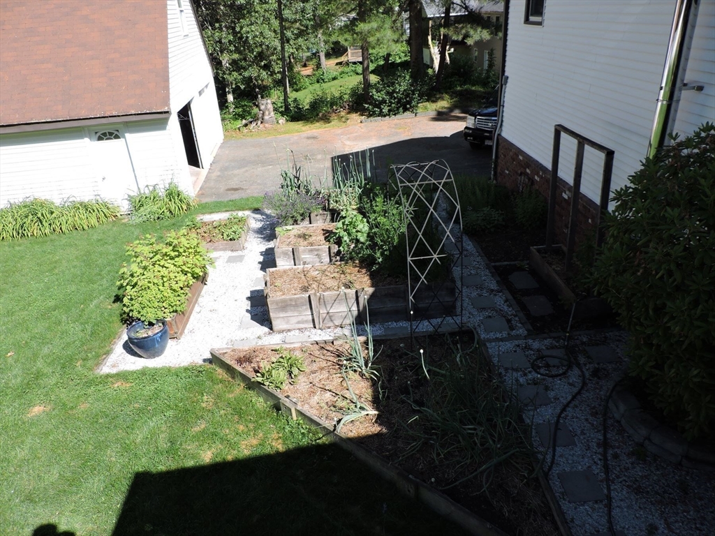 92 Lower Gore Road Webster, MA 01570 - Photo 7 of 42 a view of a backyard with plants